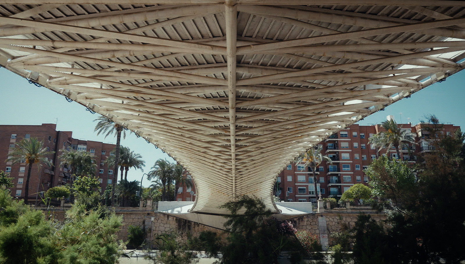 Campos de cultivo de la huerta del Segura